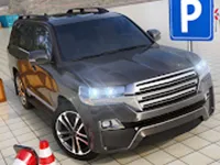 Bmw Driving  amp;amp; Parking image