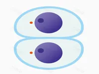 Cutting master image