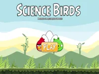 Science Birds image