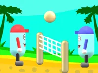 Beach Volleyball image